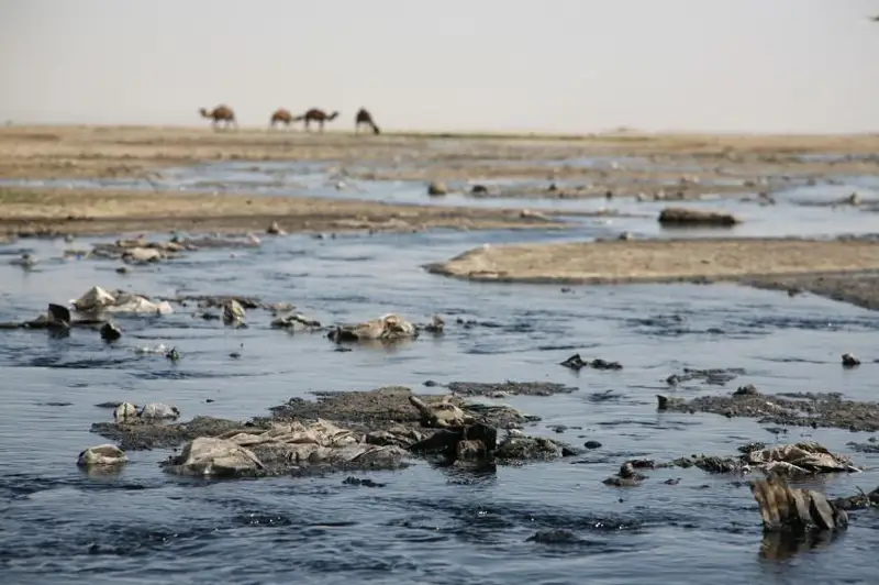 Тщательно проконтролировать рекультивацию хвостохранилища «Кошкар-Ата» поручил Президент