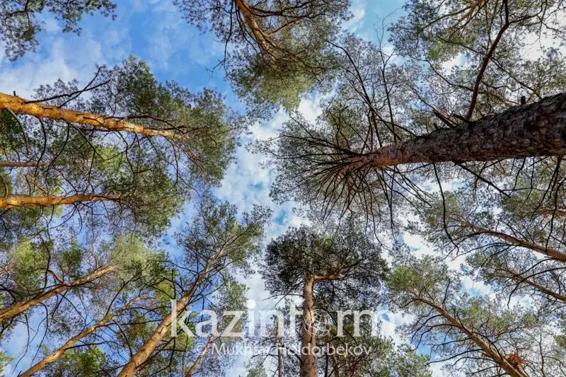 Какие метеоусловия ожидаются в Казахстане 5 октября