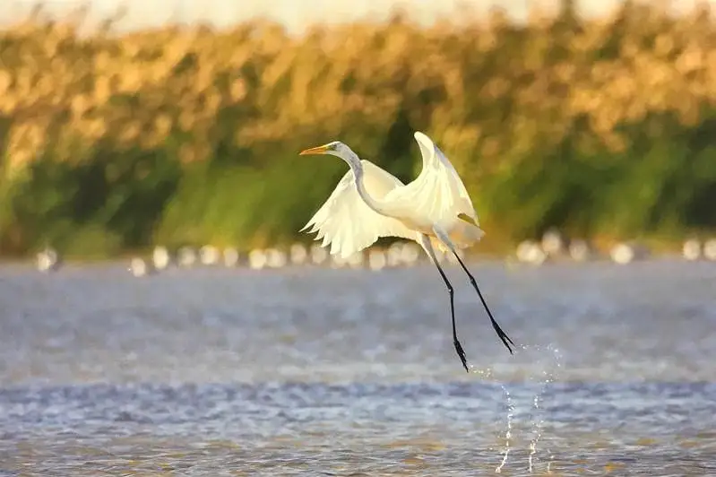 Фотовыставка о гибнущей реке Урал открылась в Атырау