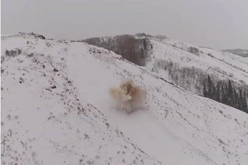 Профилактические работы по предотвращению схода лавин проводят в ВКО