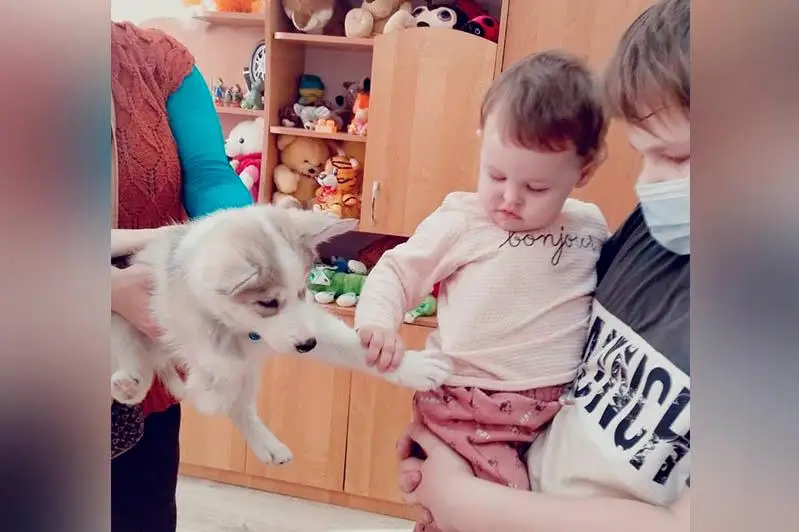 Канистерапию проводят для детей в реабилитационном центре в Балхаше