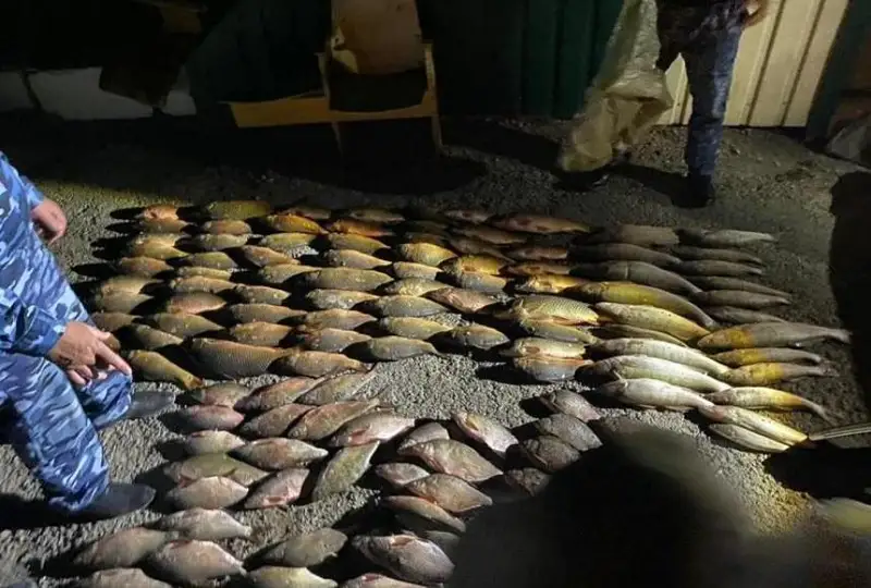 Около 100 кг рыбы изъяли у браконьера жамбылские полицейские