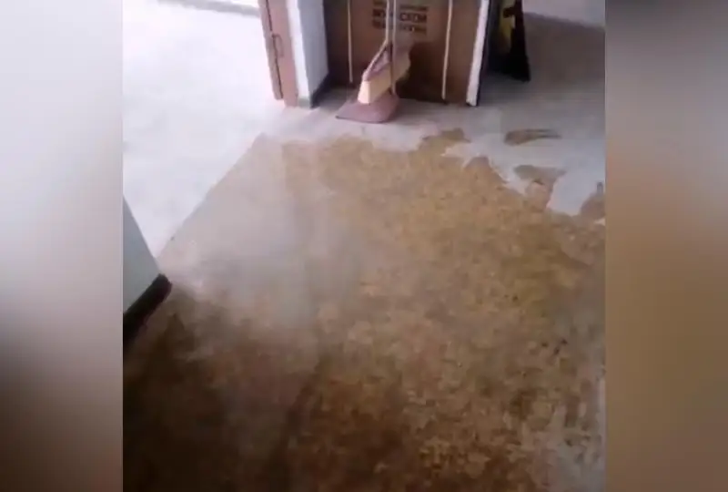 Лужи появились в квартирах новостройки после дождя в Петропавловске