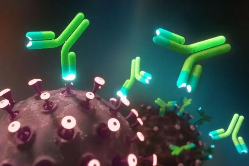 Защита от COVID-19: в Британии начинают испытания терапии антителами