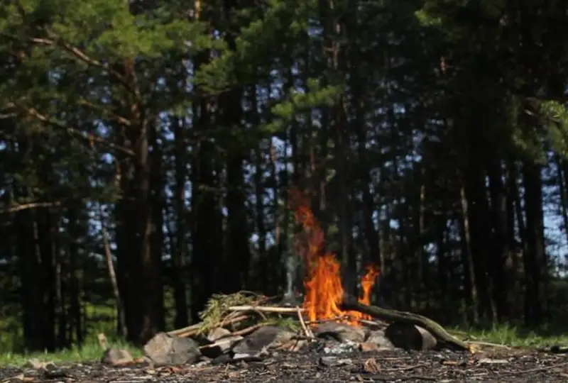 Алматинцам напомнили о запрете разведения костров в неположенном месте