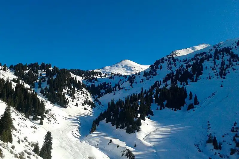 Третьи сутки ищут пропавшего в горах Алматы мужчину