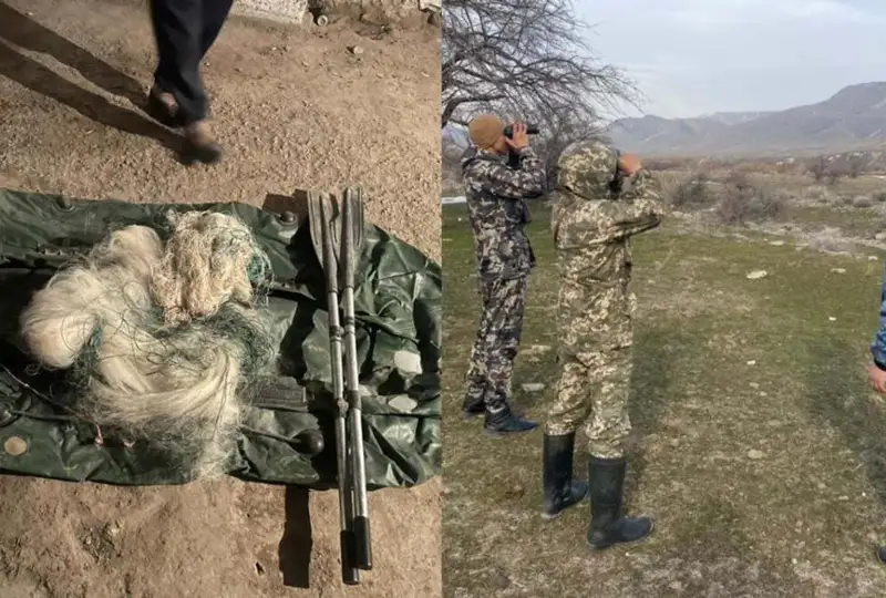 Браконьеров с незарегистрированным оружием задержали в Туркестанской области