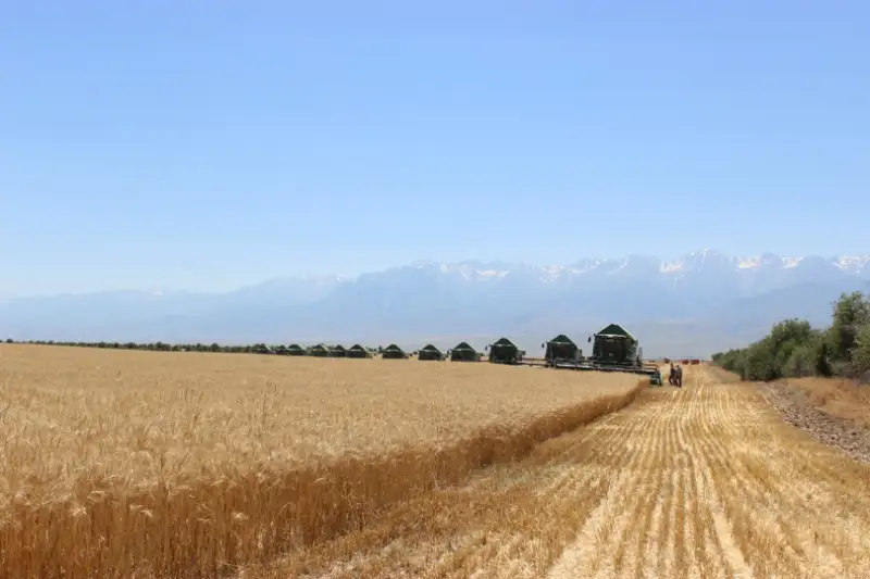 О планах развития Жамбылской области сообщили в акимате