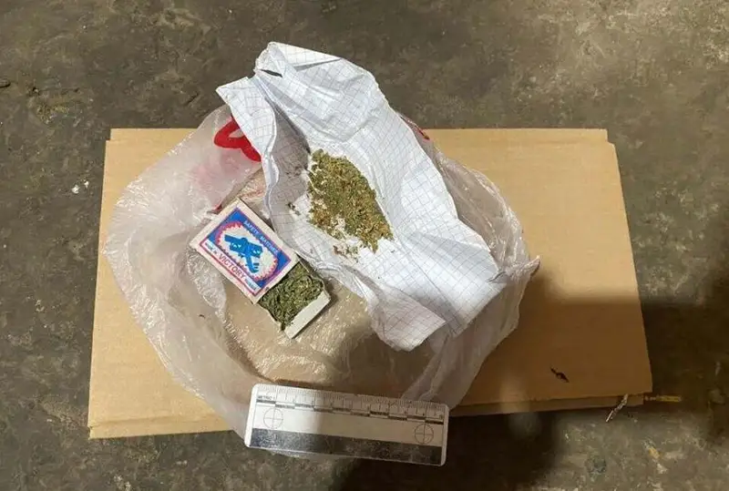 Сбытчика наркотиков задержала полиция Шымкента