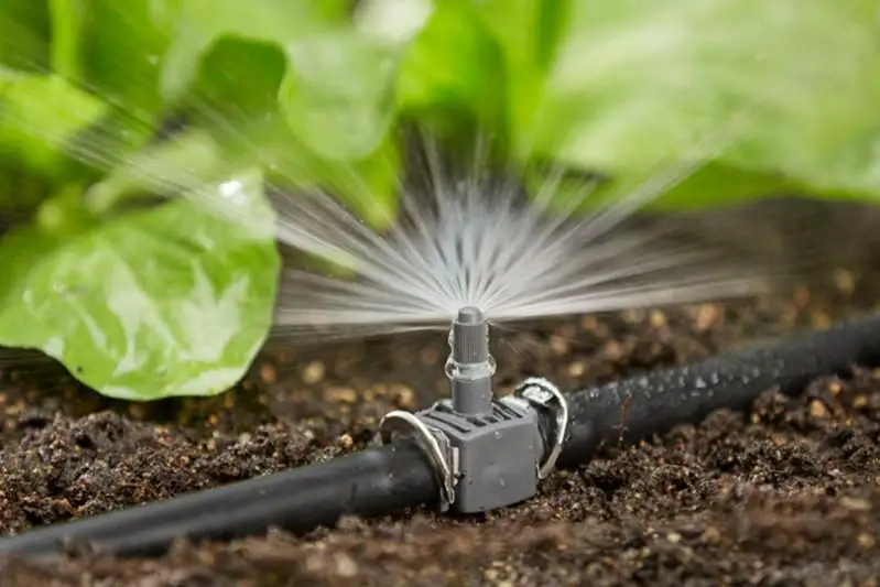 В каких регионах активно используют влагосберегающие технологии