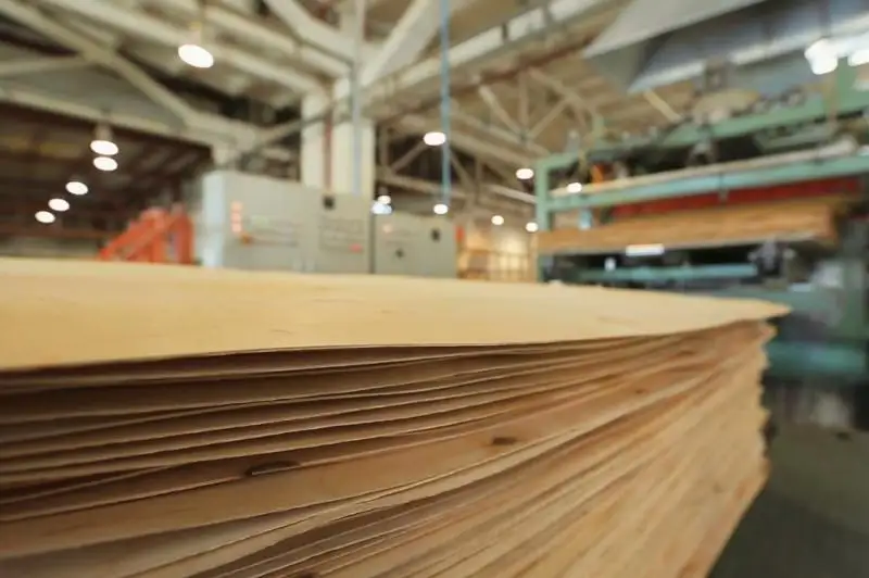 Заводы ламинированной фанеры и шпона откроют в СКО