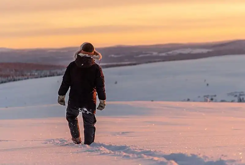 Крупнейшее в Европе месторождение редкоземельных металлов найдено в Швеции