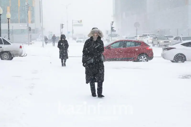 Метель и туман ожидаются 19 декабря в двух областях РК