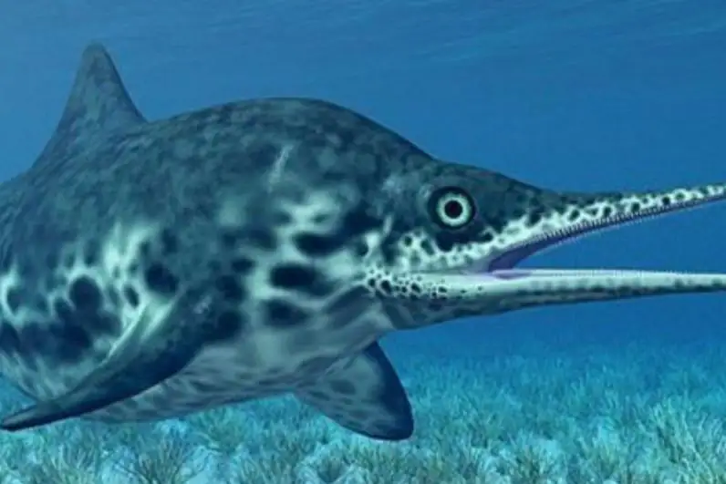 Полноразмерный скелет ихтиозавра установят в Назарбаев Университете