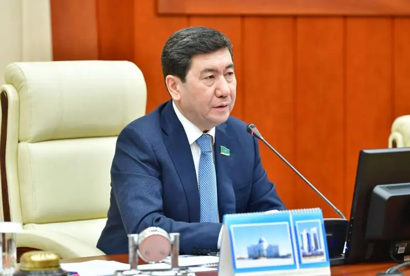 Спикер Мажилиса: Организаторы цинично воспользовались мирными митингами