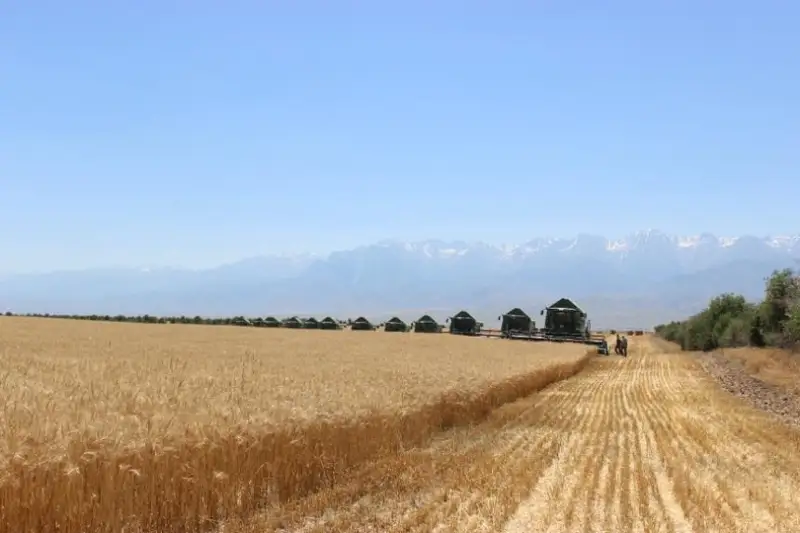Оздоровительный и сельский туризм планируют развивать в Жамбылской области