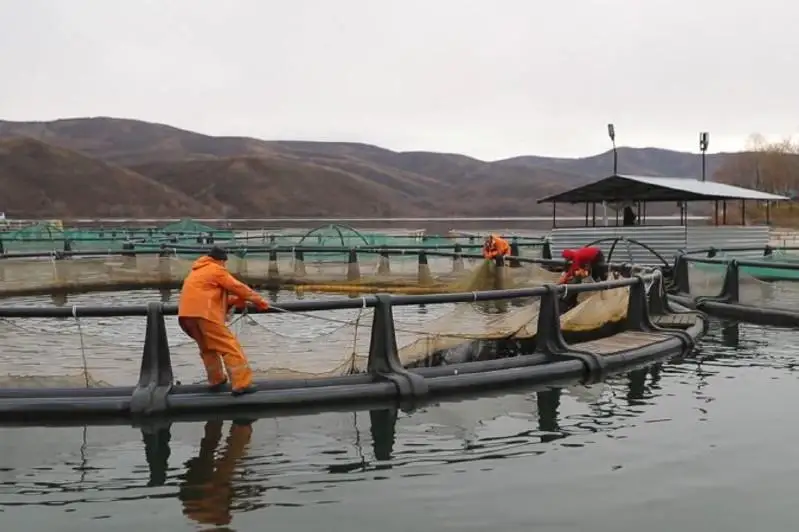 Экспортировать рыбу в Россию планируют  жители Восточного Казахстана