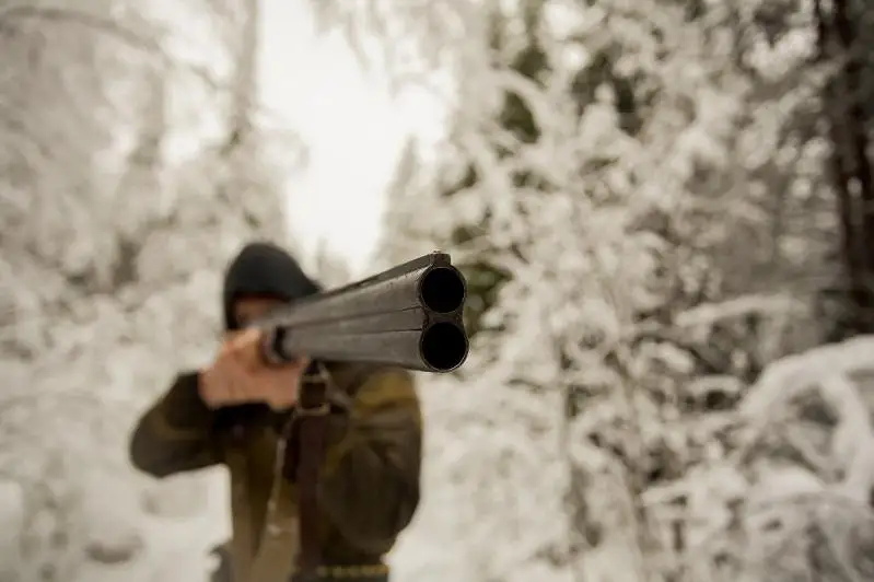 В Торгае браконьер отстрелил 15 кабанов