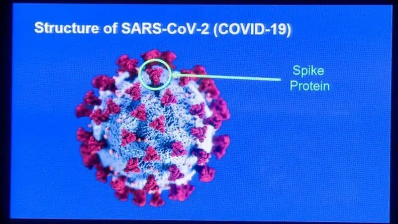 Коронавирус: новый пик смертности в США, вакцину Pfizer не советуют аллергикам
