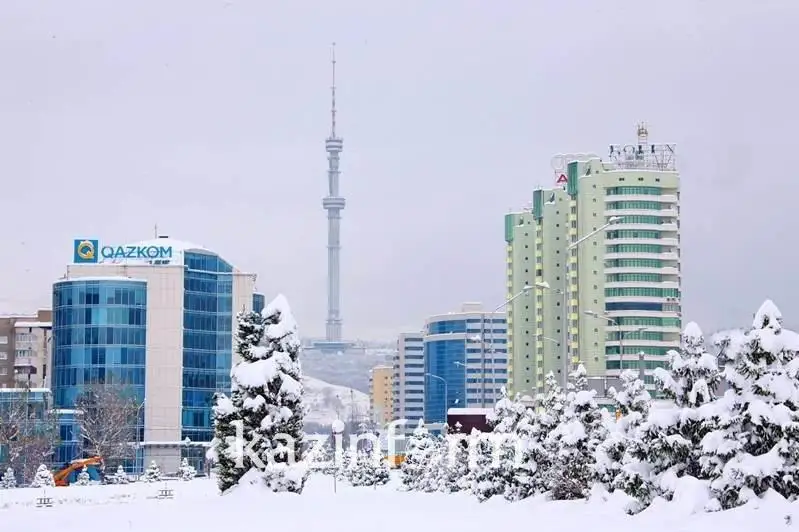 Крупные вузы за территорию города предложили перенести в Алматы