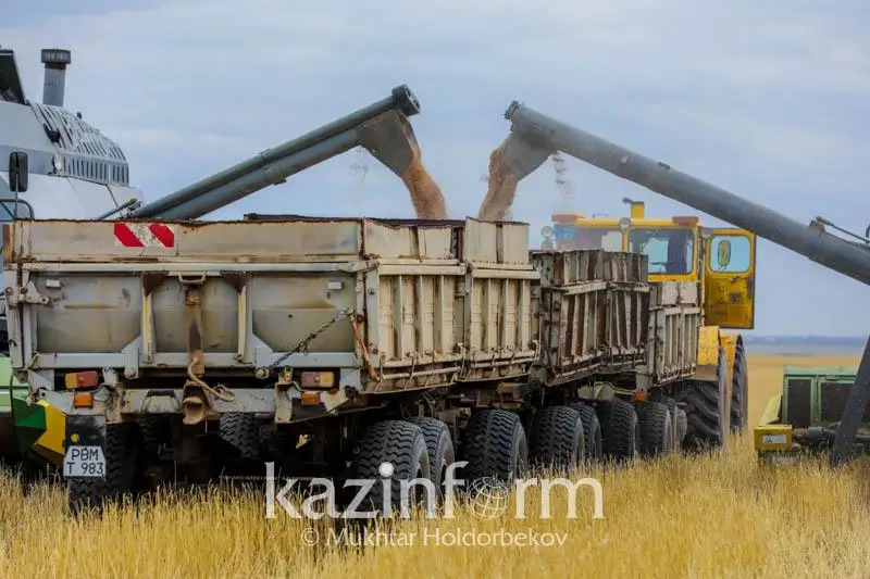 Высококачественные семена стали больше засевать в Казахстане