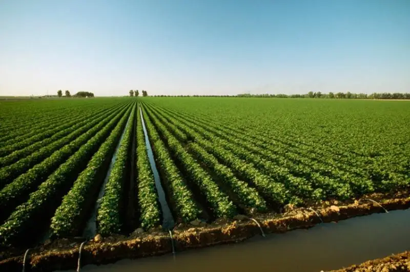 Затраты на системы орошения восстанавливает аграриям Минсельхоз