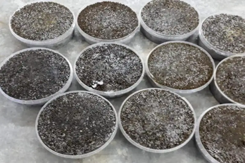 Осетров и черную икру на 64 млн тенге изъяли у браконьеров в Атырау