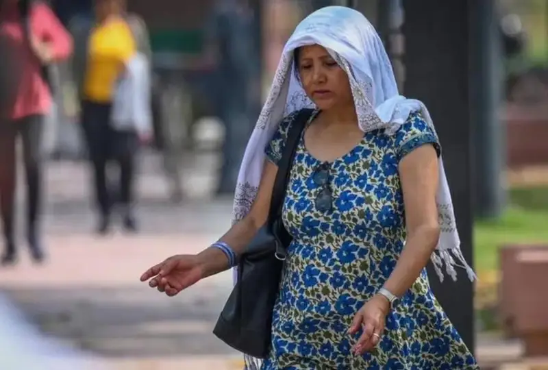 Самый жаркий февраль за последние 100 лет зафиксировали в Индии