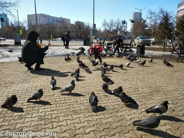 Коллективный иммунитет к коронавирусу у алматинцев составляет 55-56% - Жандарбек Бекшин