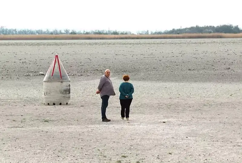 Засуха в Австрии: люди ищут монеты на дне высохшего озера