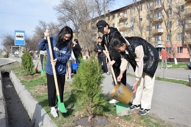 Около 17 млн деревьев высадят в Жамбылской области в этом году