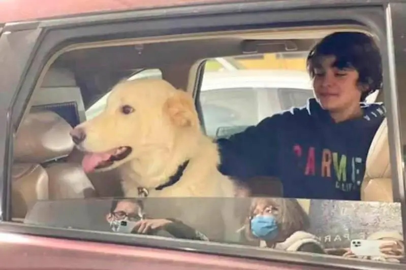 Пострадавший от рук живодера атырауский пес Лаки добрался в Калифорнию