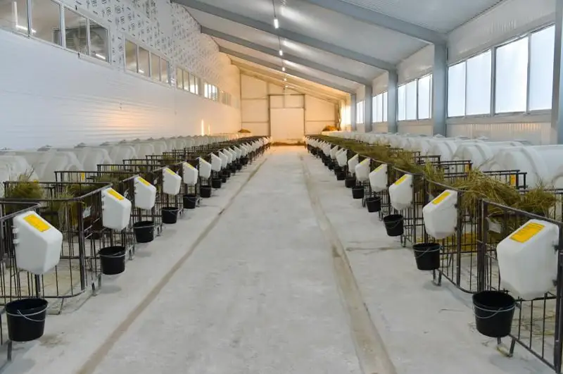 Ферму за 1,2 млрд тенге построил внук известного агрария Зенченко в СКО