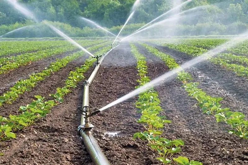 О сложной водохозяйственной обстановке в Кызылординской области рассказал Магзум Мирзагалиев