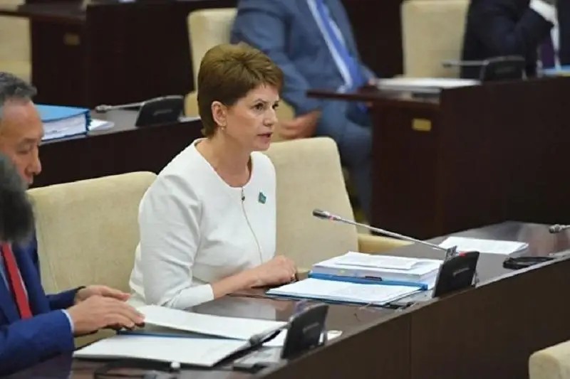 Депутаты заинтересовались реализацией образовательного проекта на $75 млн