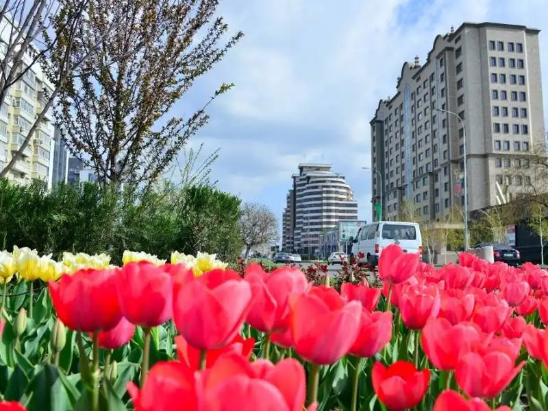 В Шымкенте активно развивается сфера туризма