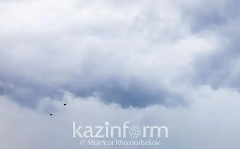 метеоусловия