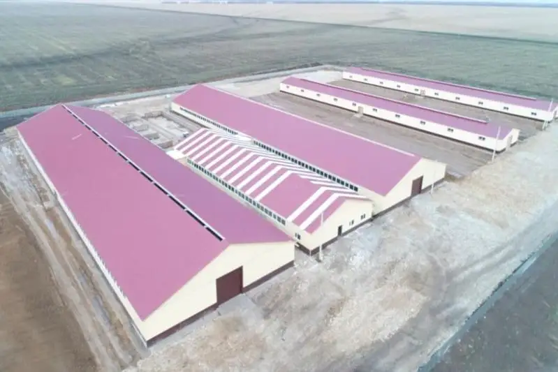 Ферму стоимостью более 1 млрд тенге построили в СКО