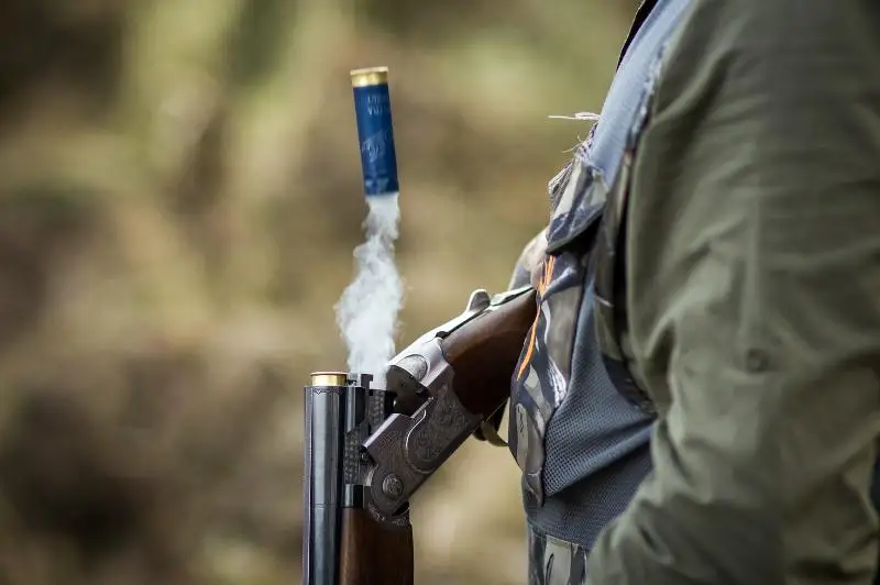 Какие составы браконьерских преступлений перейдут в разряд средней тяжести