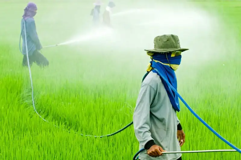 В Казахстане  досрочно прекратили госрегистрацию китайского пестицида от саранчи