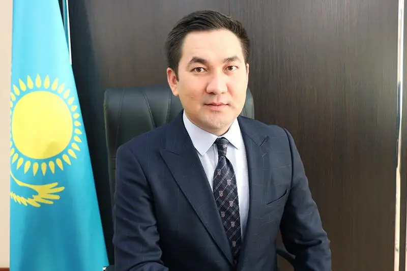 Онлайн-проект «Жаңа жағдайдағы жастар: іс-қимыл кезеңі» запускается в Казахстане