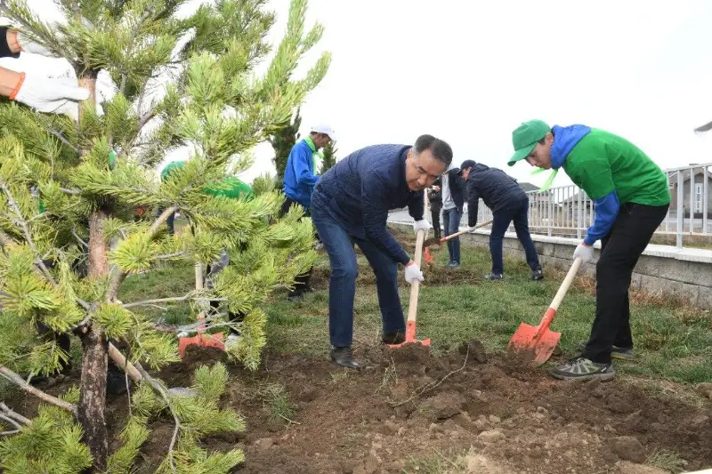 Бакытжан Сагинтаев посадил деревья во дворах школ Алматы