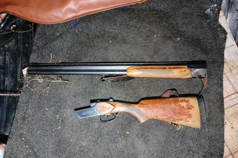 Трех сибирских косуль отстрелили браконьеры в СКО