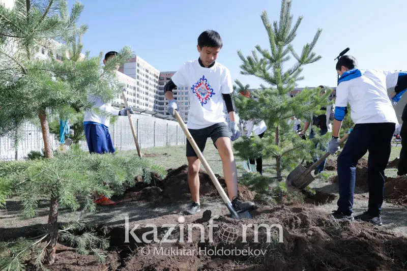 В Казахстане высадят более 2 млрд деревьев