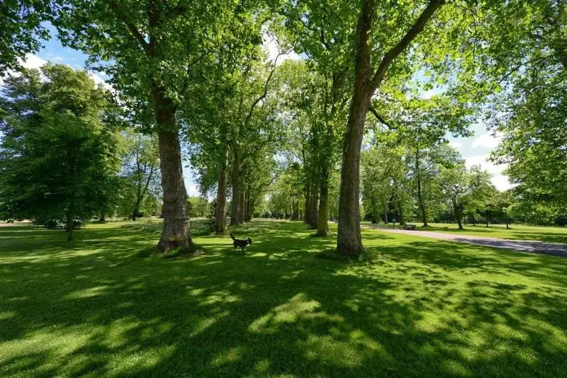 Стратегию по оцифровке и паспортизации деревьев обсудили в Актобе