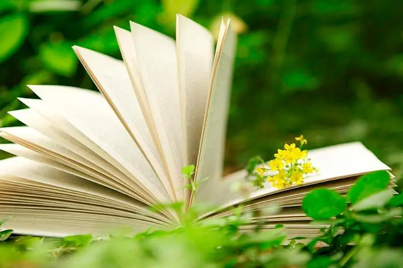 Пересмотреть концепцию экологического образования предложила Аида Балаева