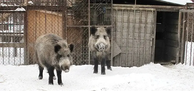 обитателей 