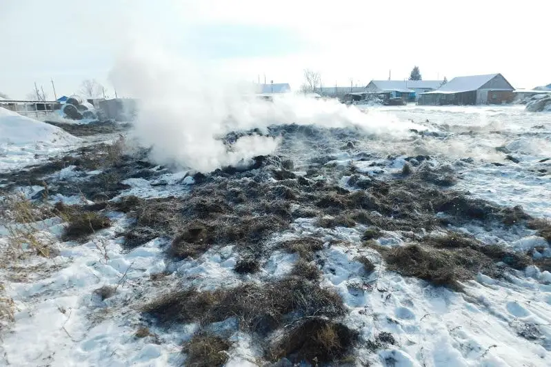 Пожар из-за неприязни к соседу устроили сельчане в СКО