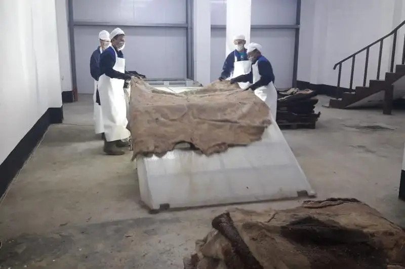 Безотходное производство наладило ТОО «Кублей» в ЗКО