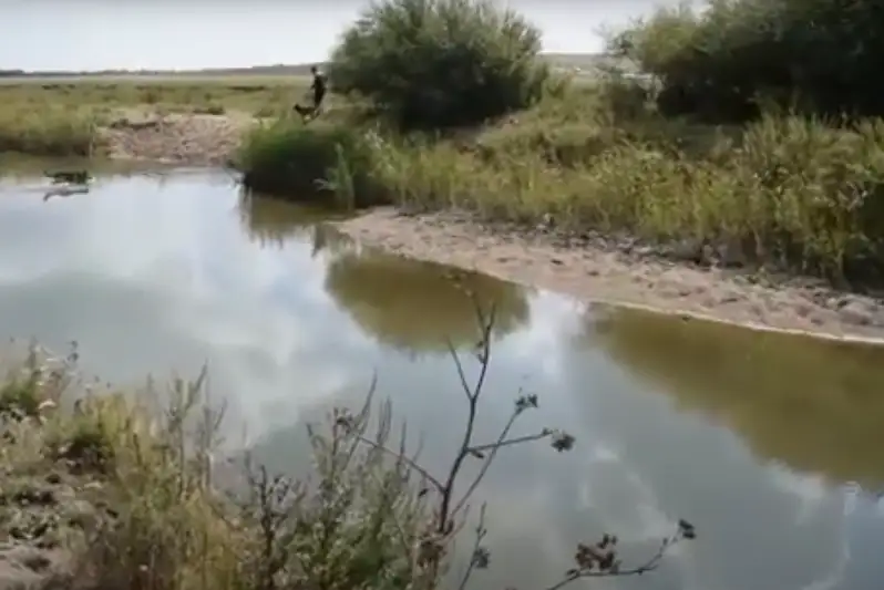 Четвертые сутки ищут пропавшую 13-летнюю акмолинку